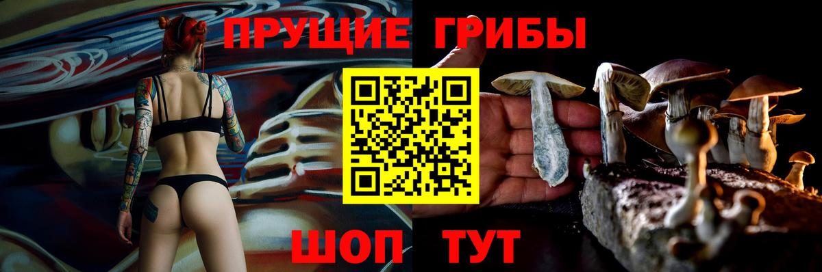Галлюциногенные грибы Cubensis  Вход с VPN  Алексеевка 